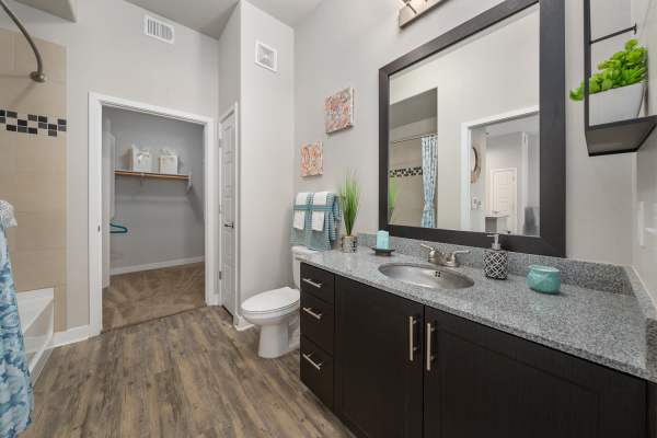 Large bathroom with granite countertop and walk-in closet in model home at The Hyve in Tempe, Arizona