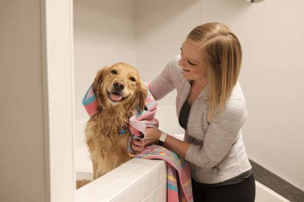 Happy puppy and her owner in their new home at Marketplace Apartments in Lansing, Michigan