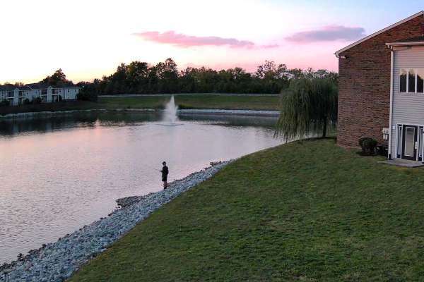 lake view