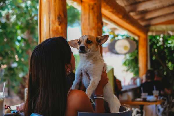 PET FRIENDLY PATIO NEARBY