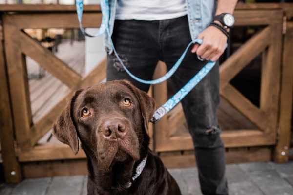 Resident with their pet dog at The Varsity in Centralia, Washington