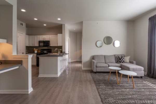 Studio, 1 bedroom, and 2 bedroom homes available