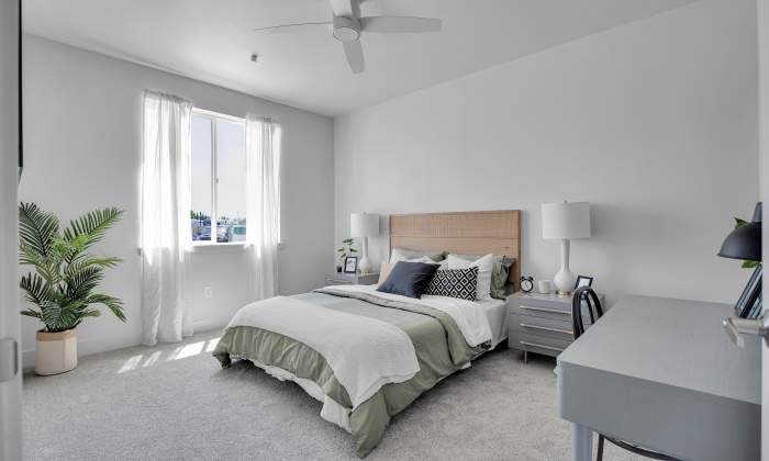 Bright bedroom with large window, plush carpet, modern furniture, and decorative plants at Tilian Point in Woodburn, Oregon