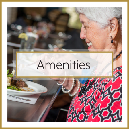 Amenities call out at Town Village in Oklahoma City, Oklahoma