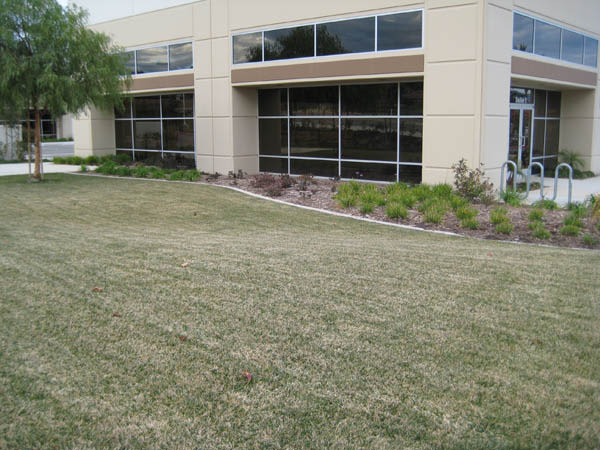 Large lawn at Daytona Business Park in Perris, California