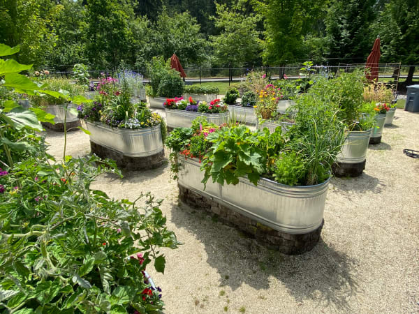 Resident garden at Patriots Landing in DuPont, Washington. 