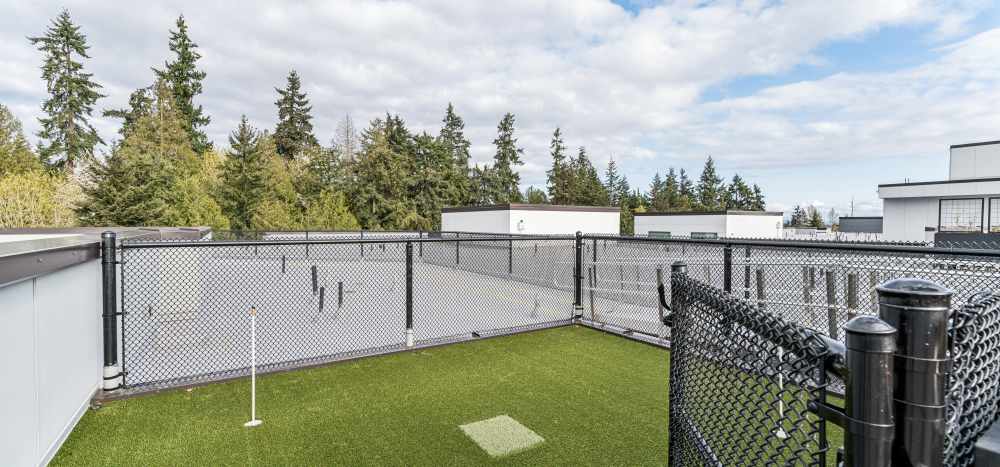 Dog Park with Pet Relief Area at Traxx Apartments in Mountlake Terrace, Washington 