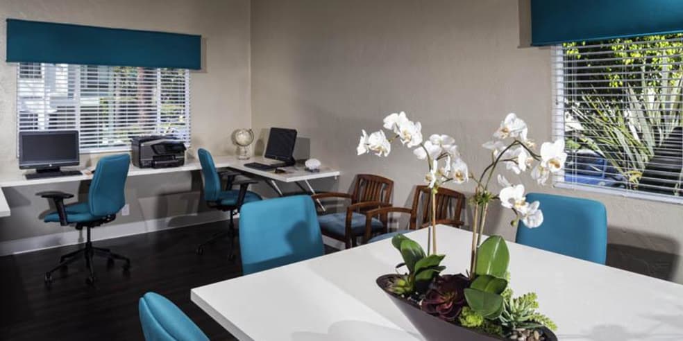 University City San Diego Ca Apartments For Rent Avana