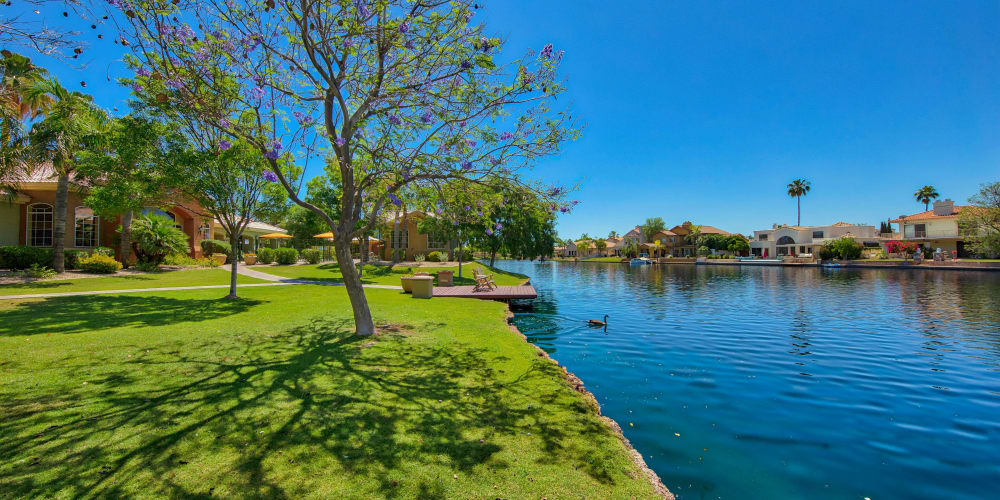 Dock on the lake at Serena Shores Apartments in Gilbert, Arizona