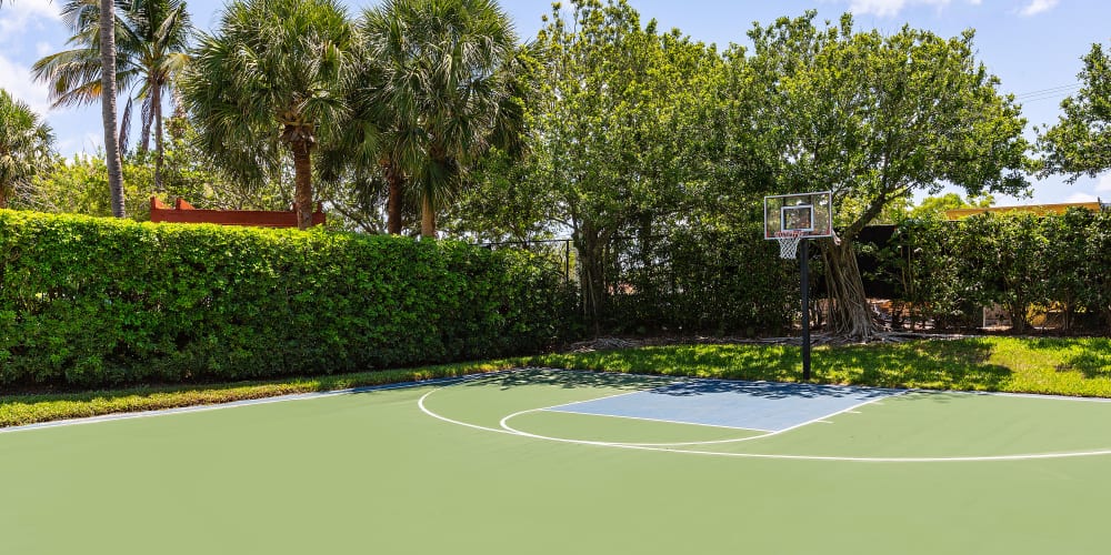 Basketball court at Delray Bay Apartments in Delray Beach, Florida