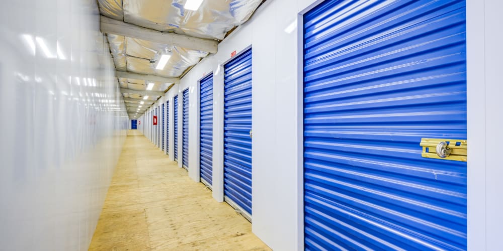 indoor units with blue doors at Trojan Storage of Lynnwood in Lynnwood, Washington