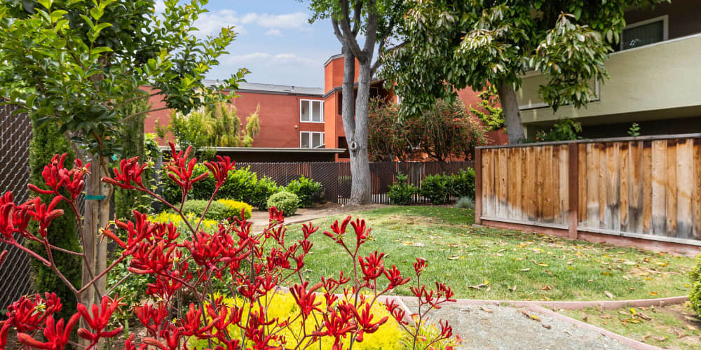 Landscaped grounds at Coronado Apartments in Fremont, California