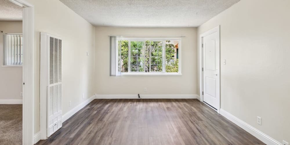 Living room with large windows and wood-style flooring at Parkway Apartments in Fremont, California