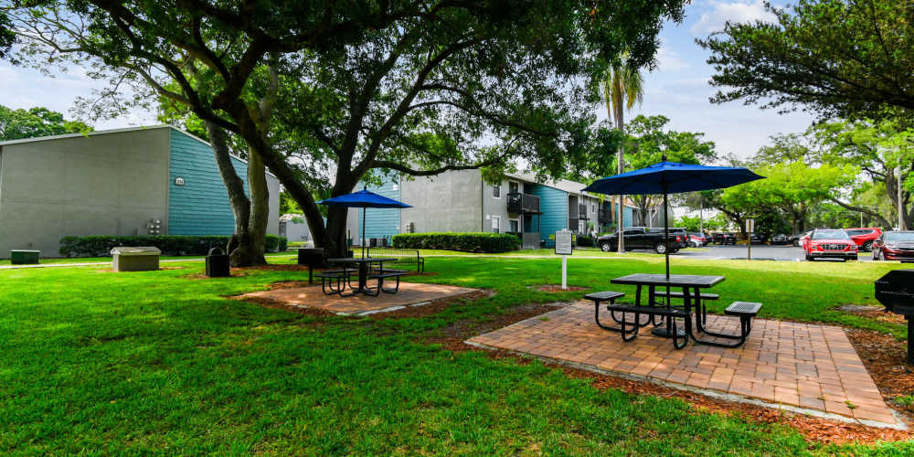 Scenic outdoor courtyard with picnic tables at Coopers Pond in Tampa, Florida