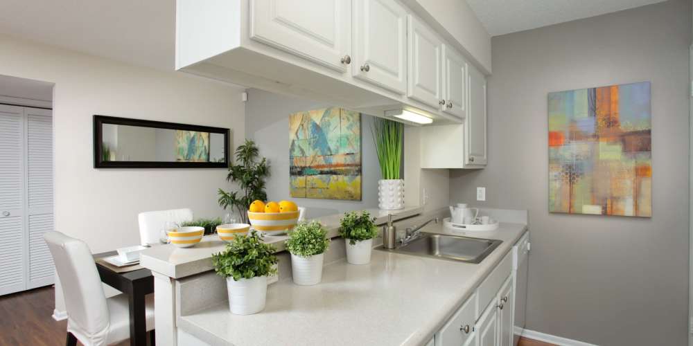 Bright apartment kitchen with large counter space at Legend Oaks in Tampa, Florida