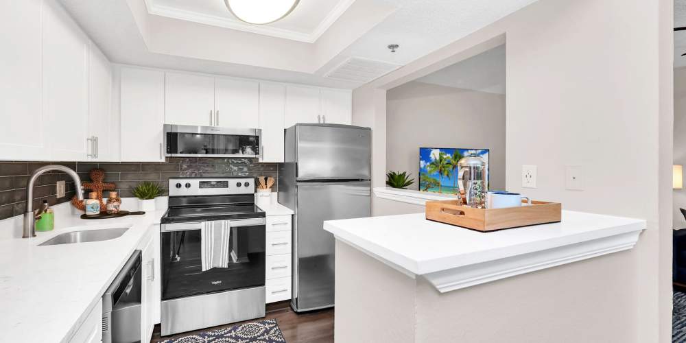 Apartment kitchen with spacious countertops at 4800 Westshore in Tampa, Florida