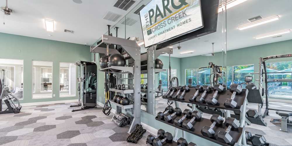 Fitness center with dumbbells at The Parq at Cross Creek in Tampa, Florida
