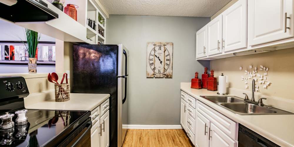 Apartment kitchen with double stainless steel sink and plenty of counter space at Waterstone At Carrollwood in Tampa, Florida