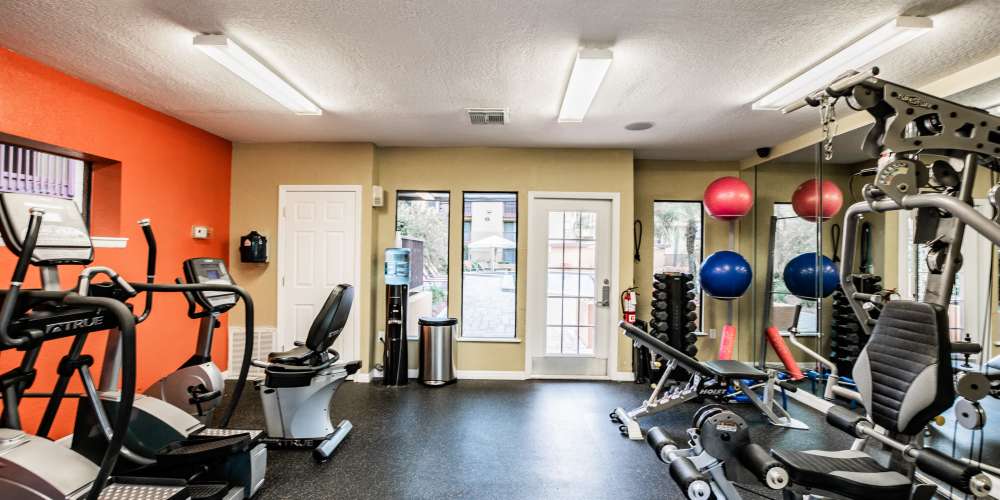 Community fitness center at Waterstone At Carrollwood in Tampa, Florida