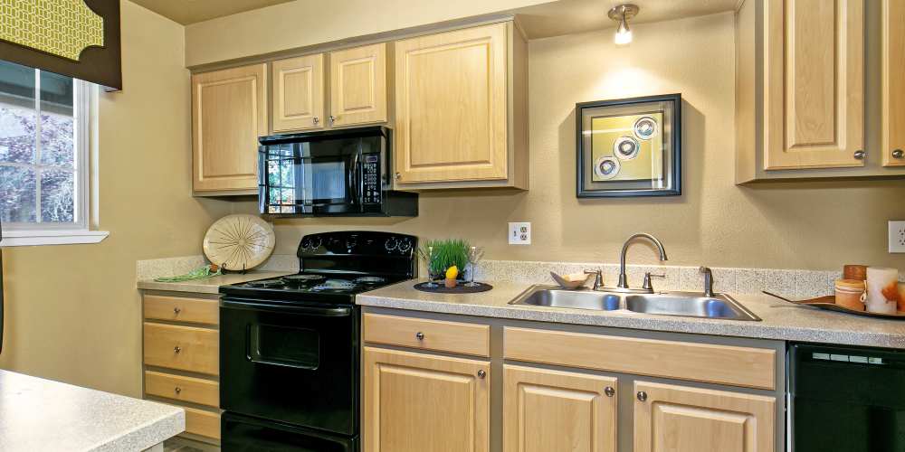 Apartment hallway kitchen with a dual basin stainless steel sink and black appliances angle 2 at Collins Junction in Lynnwood, Washington