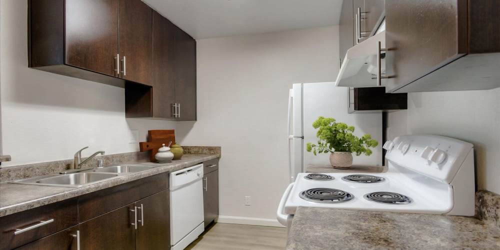 Apartment kitchen with dark wooden cabinets and white stove at Terman Apartments in Palo Alto, California