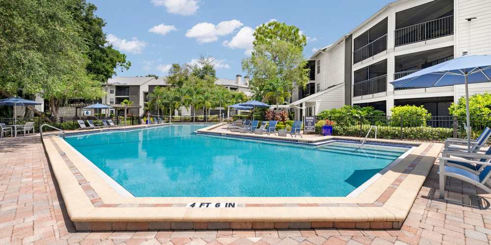 Olympic size swimming pool with lounge furniture at 4800 Westshore in Tampa, Florida