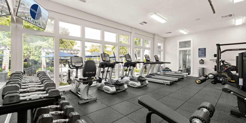 Fitness Center with weights and cardio equipment at 4800 Westshore in Tampa, Florida