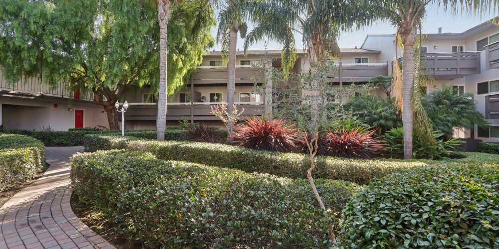 Lush greenery outside of Bayfair Apartments in San Lorenzo, California