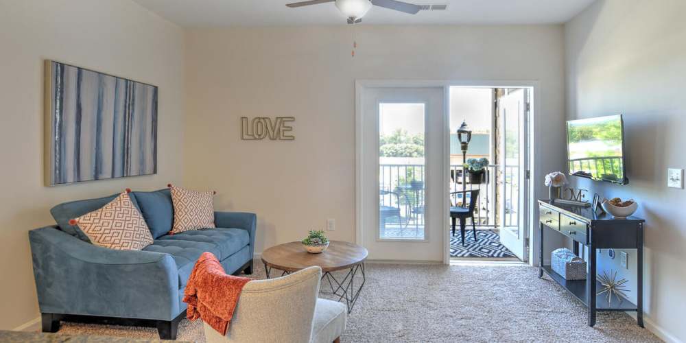 Spacious living room with a comfortable couch, plush carpeting and a largeTV at 10 Newbridge in Asheville, North Carolina