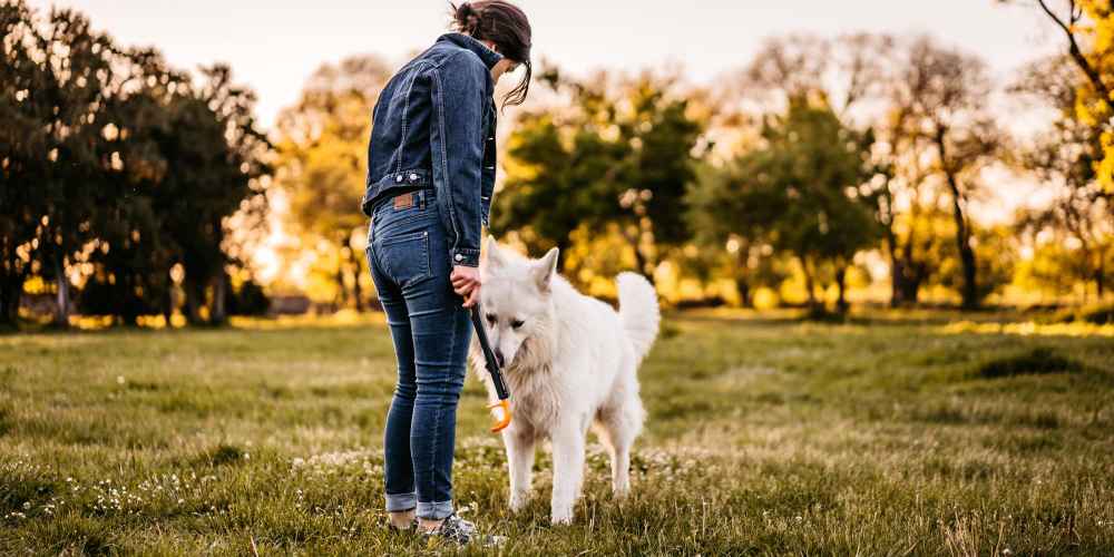 A woman playing with her pet dog at a local park near Marlowe Place in Charlotte,North Carolina