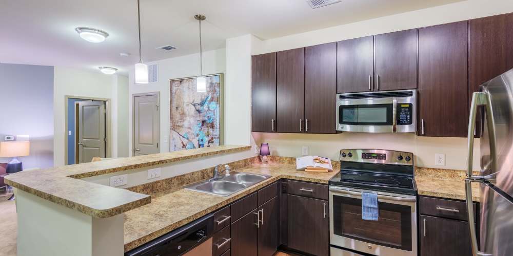 Apartment kitchen at Vistas At 707 in Charlotte, North Carolina