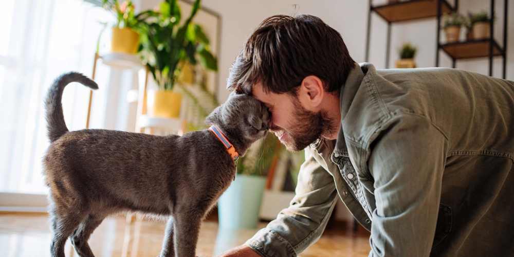 Resident playing with his dog at 10 Newbridge in Asheville, North Carolina