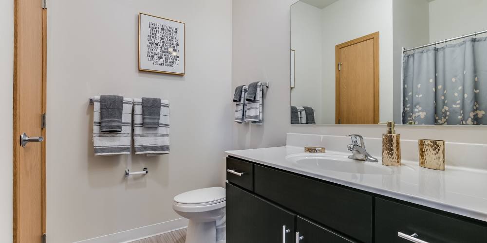 Bathroom with large mirror at Eva Manor in Pleasant Prairie, Wisconsin