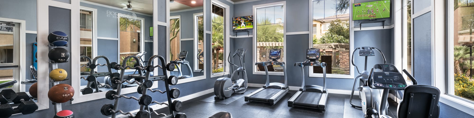 Amenities at Borrego at Spectrum in Gilbert, Arizona