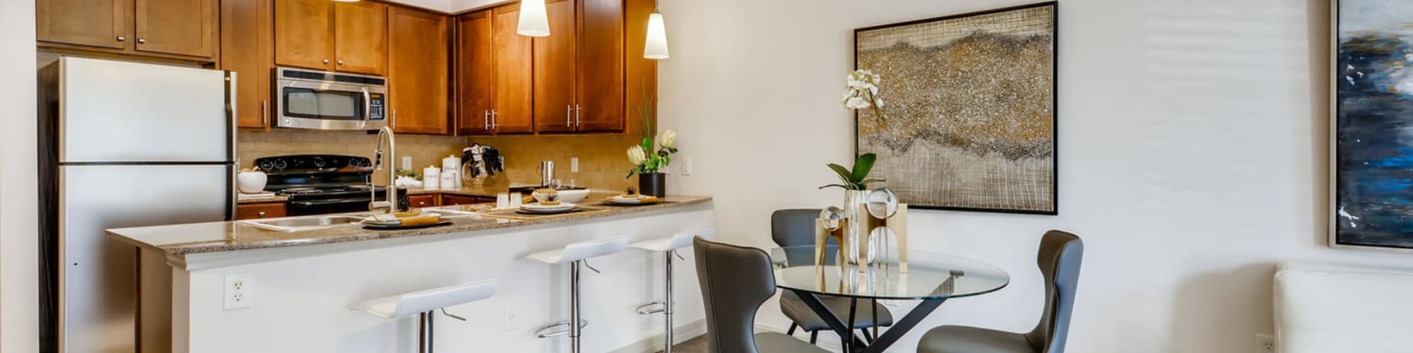 Gourmet Kitchen