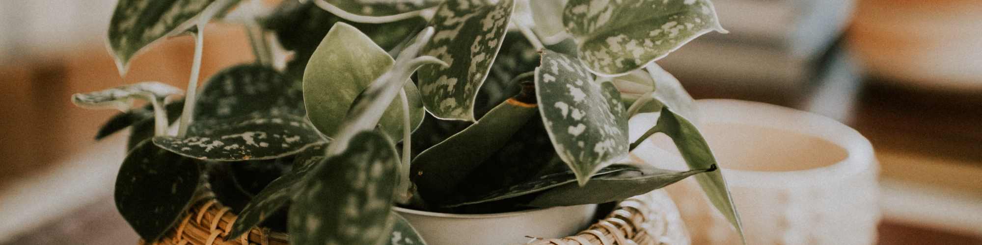 Contact Us | Guild House East in Philadelphia, Pennsylvania