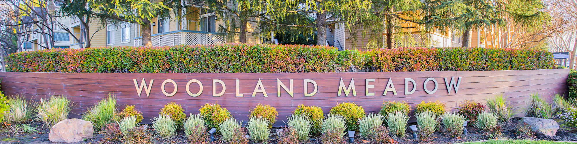 Gallery | Woodland Meadow in San Jose, California