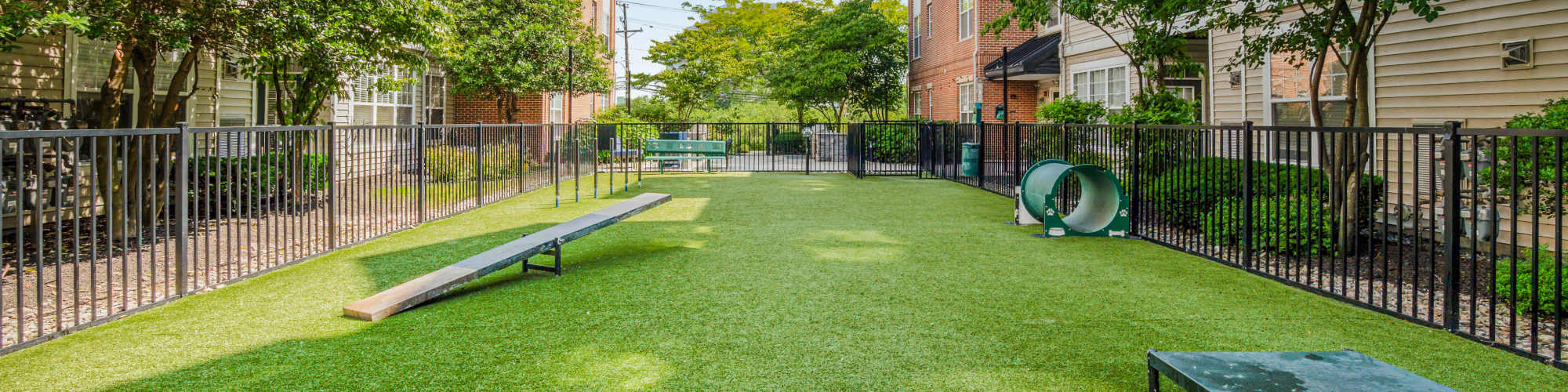 Pet-friendly apartments at Sofi Lyndhurst in Lyndhurst, New Jersey
