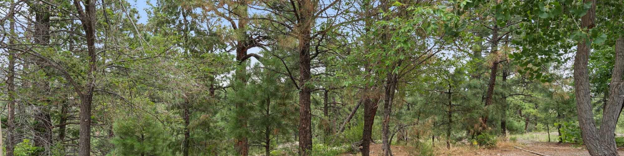  Amenities | Canyon Village in Los Alamos, New Mexico 