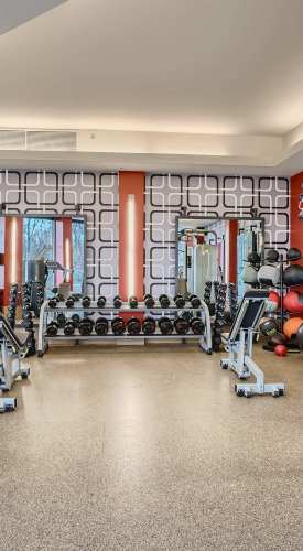 Learn more about the fitness center and other amenities at The View at Wash Park in Denver, Colorado