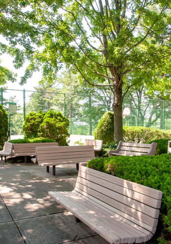 Benches in the shade at Haddonview Apartments in Haddon Township, New Jersey