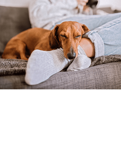 View our amenities at Raintree in Lake Jackson, Texas