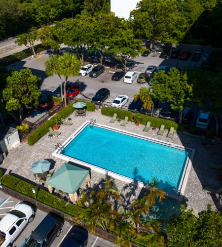 An aerial view of the swimming pool at Forest Place in North Miami, Florida
