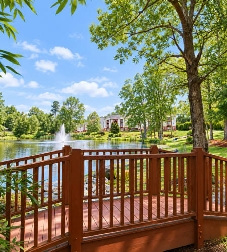Neighborhood at Lodge at Lakeshore in Greensboro, North Carolina