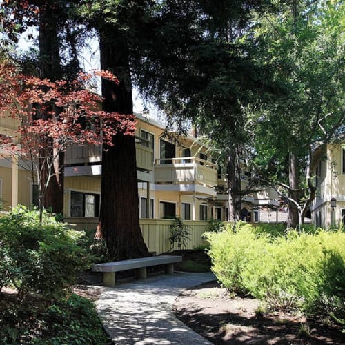 walkways outside at Central Park Apartments in Sunnyvale, California