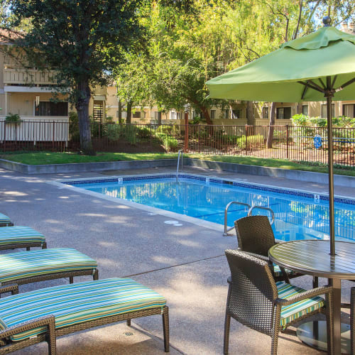 swimming pool at Central Park Apartments in Sunnyvale, California