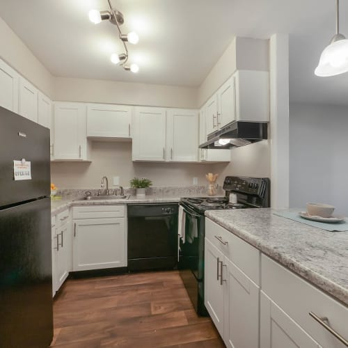 Energy-efficient appliances and kitchen at Riverside North Apartment Homes in Chattanooga, Tennessee