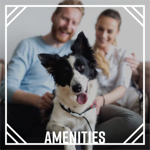 Amenities at The Arbors at Smyrna