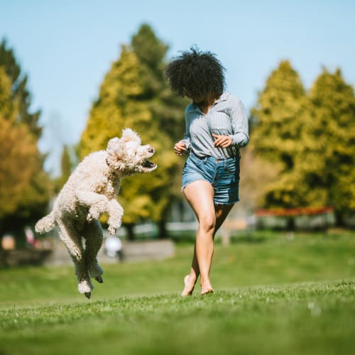 Happy resident and her pup playing near Olympus at Ross in Dallas, Texas