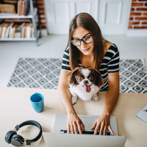 Resident working on her laptop with her dog on her lap at Wellington Point in Atlanta, Georgia